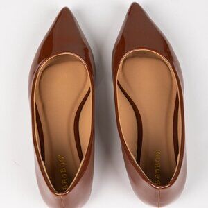 Pointed Toe Brown Flats